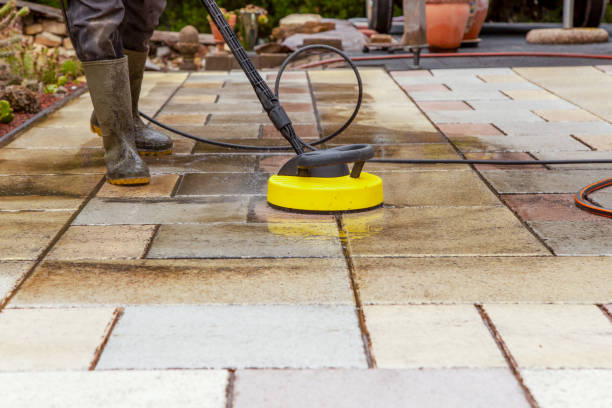 Best Solar Panel Cleaning  in Lake City, MN