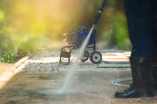 Best Building Exterior Washing  in Lake City, MN